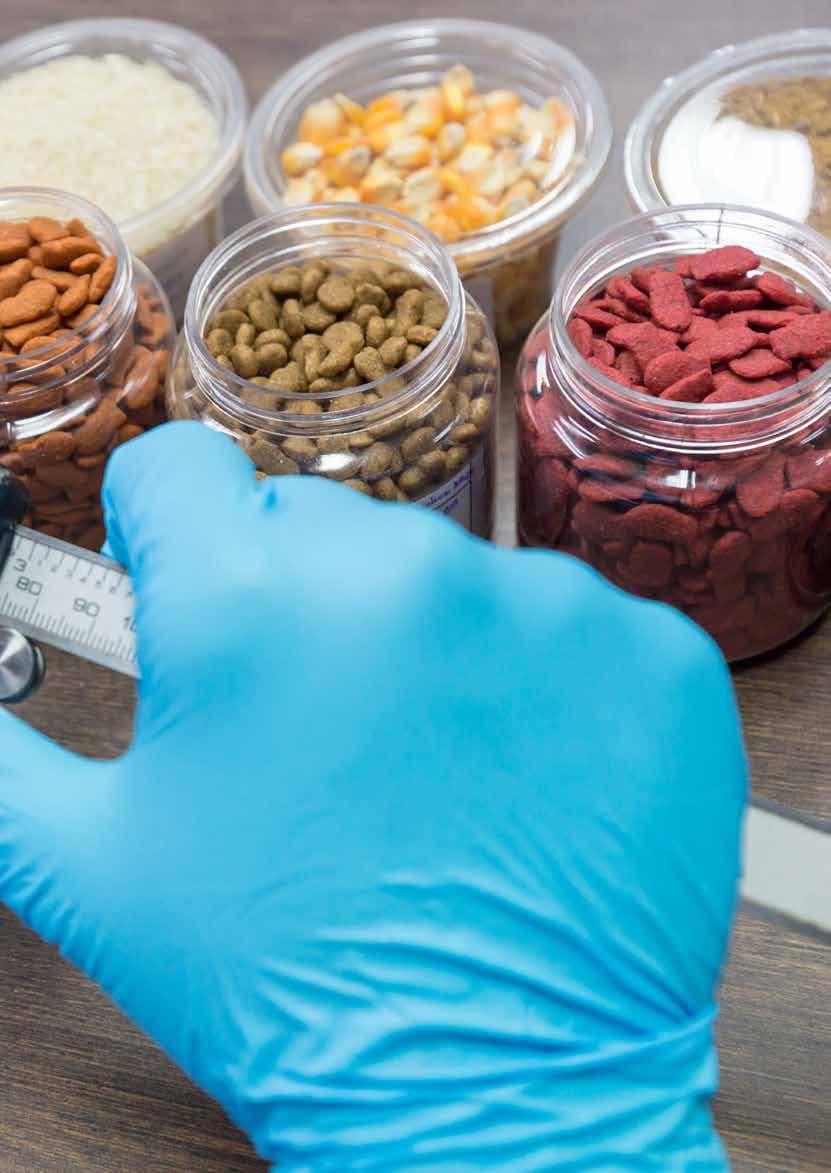فحص مواد غذائية بقفازات معملية